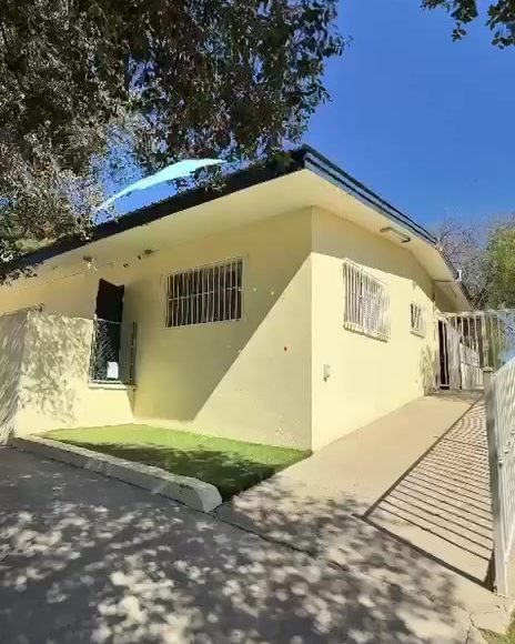 Edificio de Colegio Encinos bajo la sombra de un árbol grande